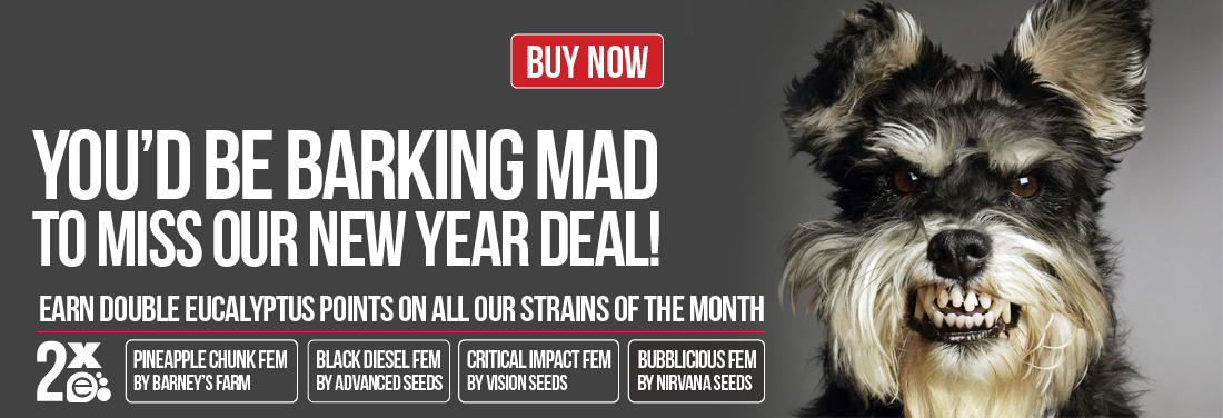 Pot Seeds Strains of the Month